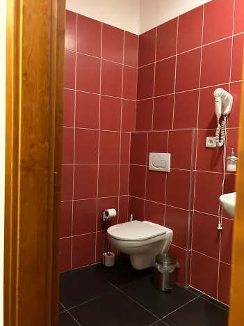 Pronájem pokoje, Kolín, Na Hradbách, 28 m2