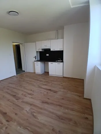 Pronájem bytu 1+kk, Praha - Břevnov, Na břevnovské pláni, 30 m2
