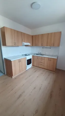 Pronájem bytu 1+1, Plzeň, Pod Všemi svatými, 69 m2