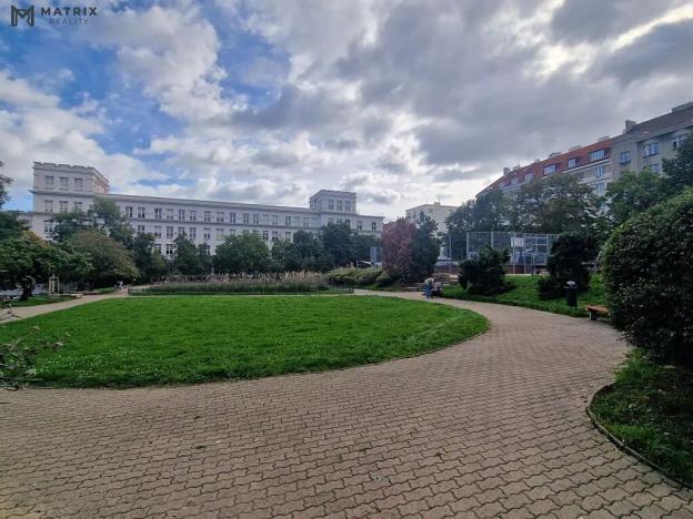 Pronájem bytu 3+kk, Praha - Vinohrady, Bořivojova, 105 m2