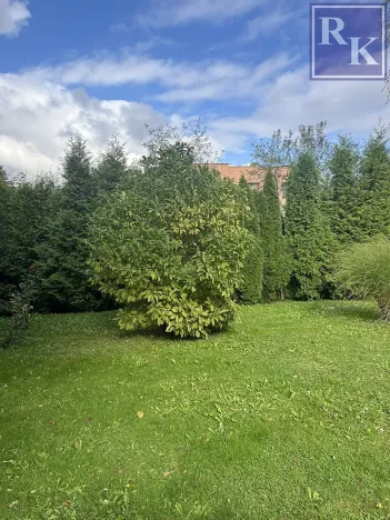 Prodej obchodního prostoru, Ostrava, U Lesa, 297 m2