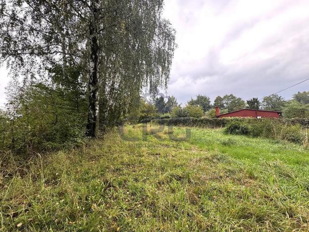 Prodej komerčního pozemku, Lučina, 2602 m2