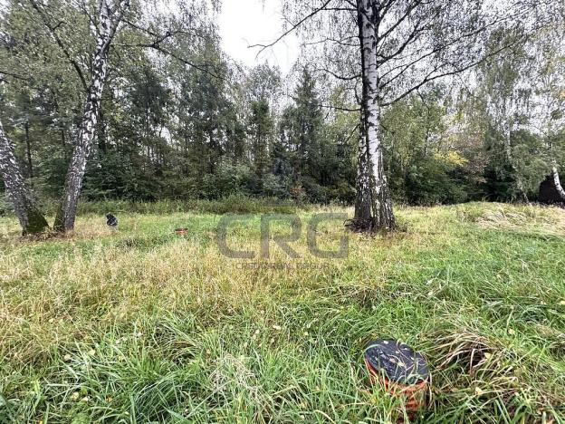 Prodej komerčního pozemku, Lučina, 2602 m2