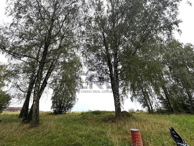 Prodej komerčního pozemku, Lučina, 2602 m2