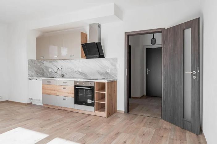 Pronájem bytu 1+kk, Heřmanova Huť, U Pondu, 35 m2