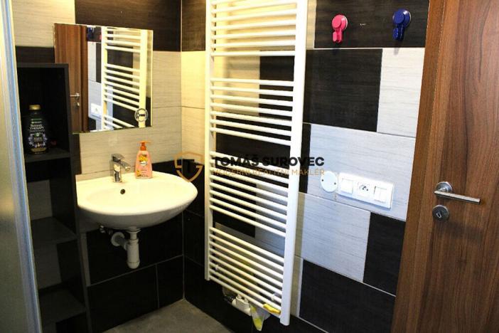 Pronájem bytu, Hvozdná, Sokolská, 21 m2