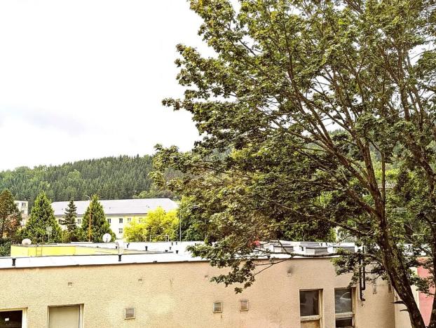 Pronájem bytu 1+kk, Kraslice, B. Smetany, 22 m2