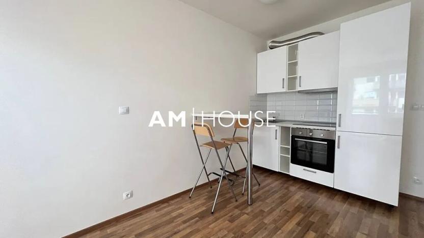 Pronájem bytu 1+kk, Praha - Horní Měcholupy, Hornoměcholupská, 38 m2