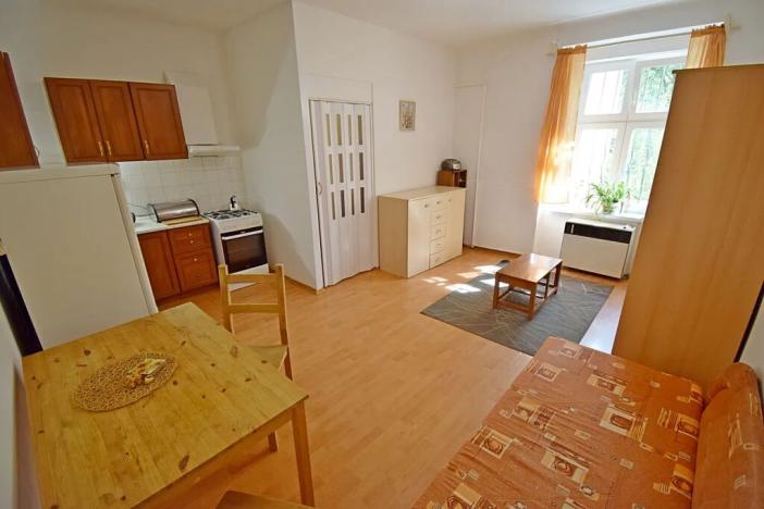 Pronájem bytu 1+kk, Praha - Holešovice, U Uranie, 26 m2