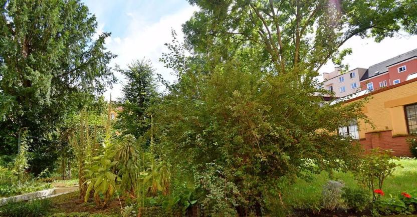 Pronájem bytu 1+kk, Praha - Holešovice, U Uranie, 26 m2