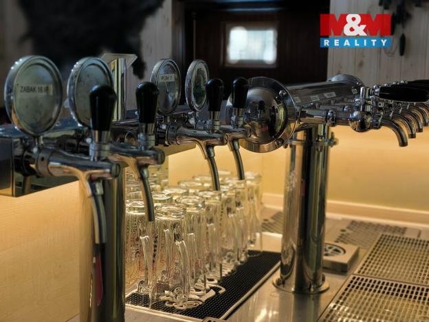 Pronájem restaurace, Orlová - Lutyně, Modřínová, 330 m2