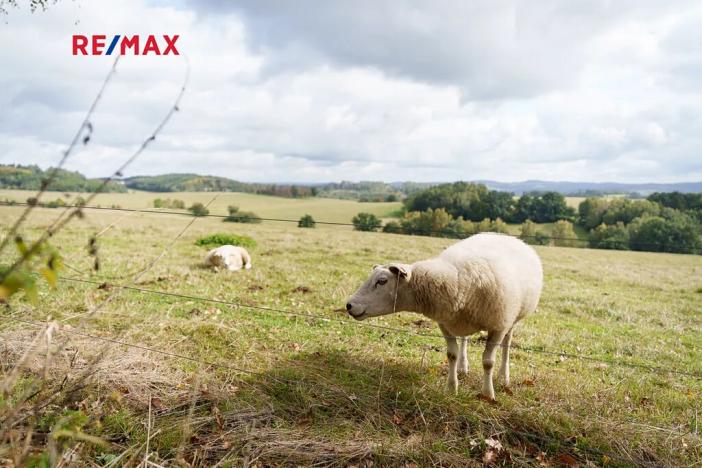 Prodej rodinného domu, Hrusice, Náves, 103 m2