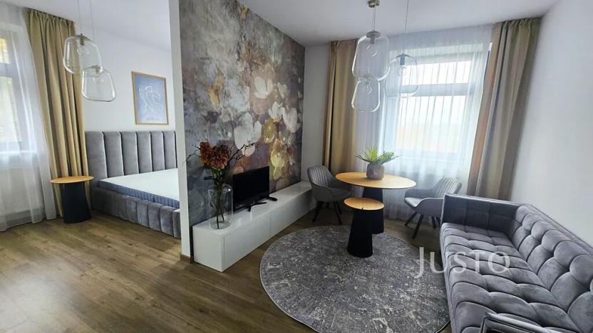 Pronájem bytu 1+1, Písek, Vladislavova, 38 m2