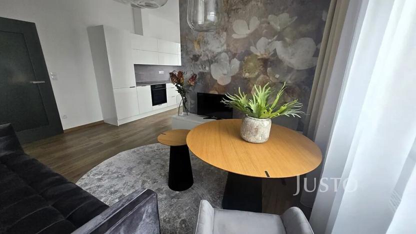 Pronájem bytu 1+1, Písek, Vladislavova, 38 m2