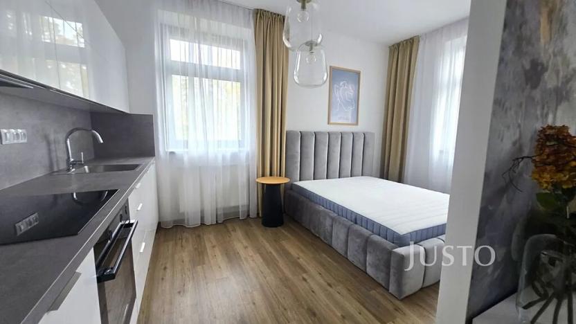 Pronájem bytu 1+1, Písek, Vladislavova, 38 m2