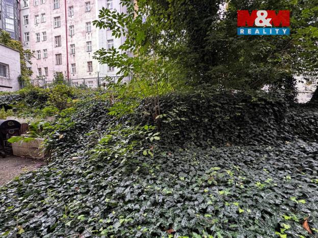 Prodej bytu 1+kk, Praha - Žižkov, Hartigova, 29 m2