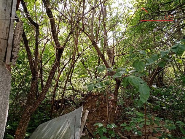 Prodej pozemku, Bojkovice - Bzová, 487 m2