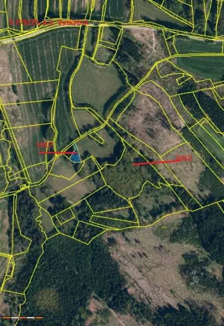 Prodej lesa, Vyskytná, 12390 m2