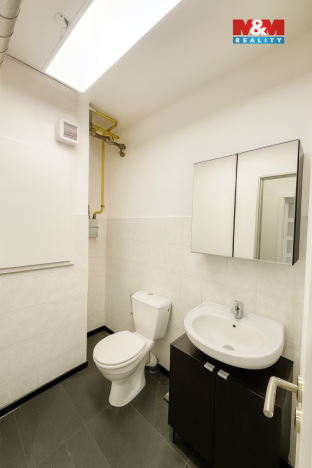 Prodej obchodního prostoru, Praha - Strašnice, Radošovická, 39 m2