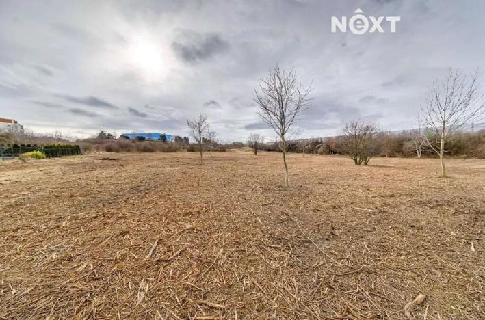 Prodej komerčního pozemku, Praha - Zličín, Lipovská, 9821 m2