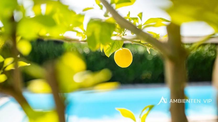 Prodej vily, Šanov, 641 m2