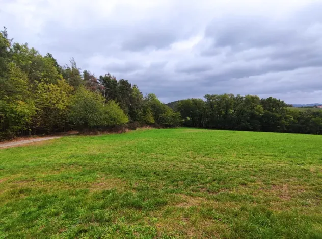 Prodej lesa, Nečín, 44533 m2