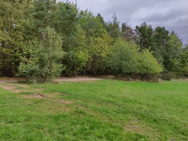 Prodej lesa, Nečín, 44533 m2