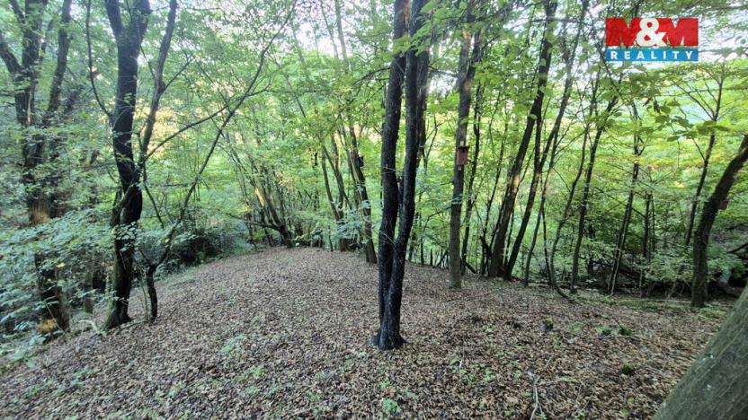 Prodej chaty, Zbečno - Újezd nad Zbečnem, 33 m2