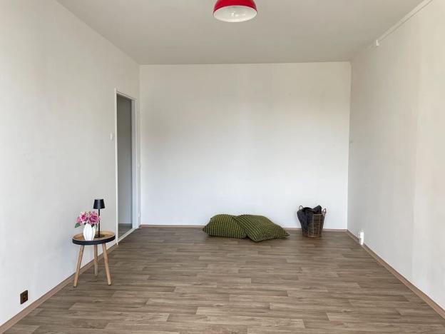 Pronájem bytu 1+1, Litvínov, Bezručova, 45 m2