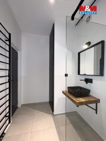 Pronájem bytu 1+1, Ostrava - Moravská Ostrava, Veleslavínova, 55 m2