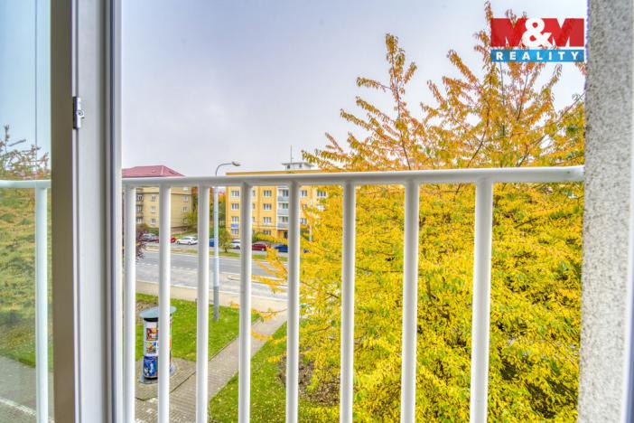 Pronájem bytu 1+1, Plzeň, Nepomucká, 23 m2