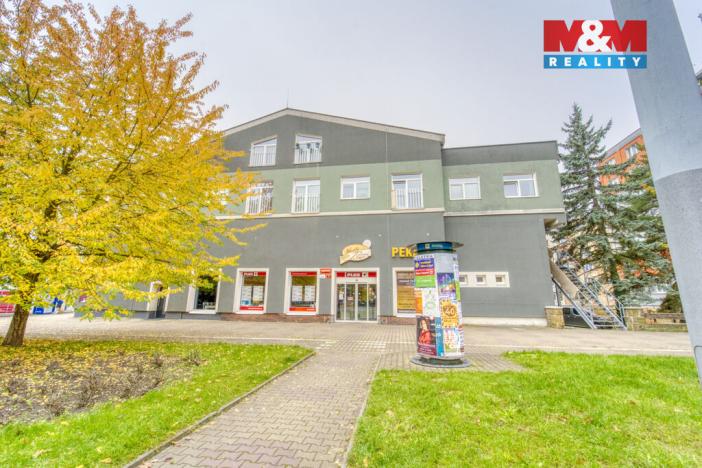 Pronájem bytu 1+1, Plzeň, Nepomucká, 23 m2