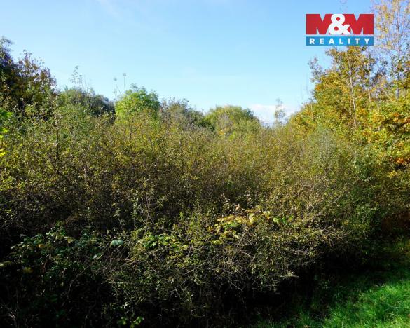 Prodej pozemku pro bydlení, Třebeň, 3689 m2