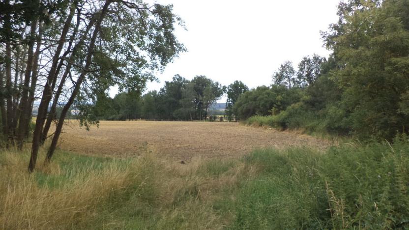 Prodej zahrady, Heřmanova Huť - Vlkýš, 1100 m2