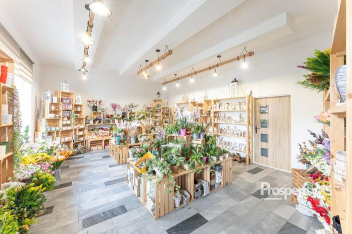 Prodej komerční, Ostrava - Mariánské Hory, 28. října, 198 m2