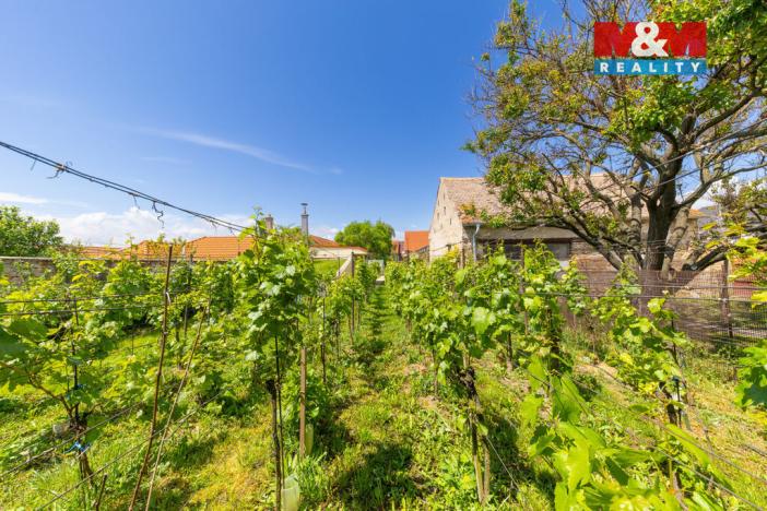 Prodej zemědělské usedlosti, Šumice, 263 m2