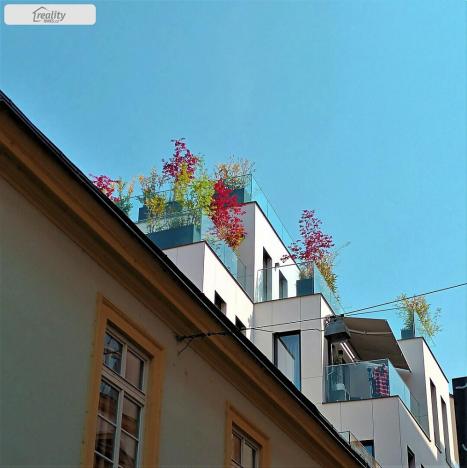 Pronájem bytu 4+kk, Praha - Nové Město, Ostrovní, 103 m2