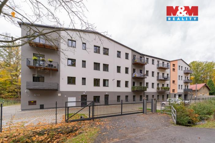 Pronájem bytu 4+kk, Cheb, Břehnická, 112 m2