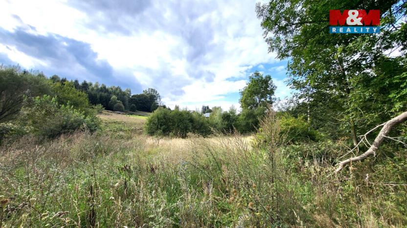 Prodej pozemku pro bydlení, Český Jiřetín, 3126 m2