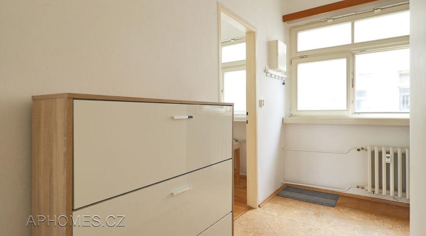 Pronájem bytu 1+1, Praha - Nové Město, Opletalova, 35 m2