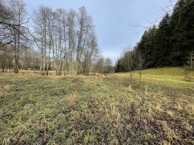 Prodej pole, Toužim - Kojšovice, 12095 m2