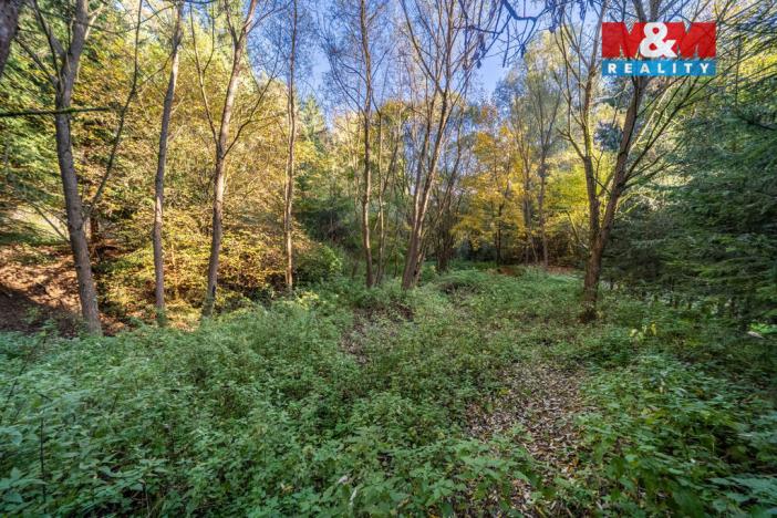 Prodej pozemku pro bydlení, Probulov, 3073 m2