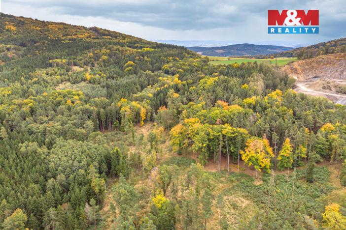 Prodej lesa, Ježovy - Trnčí, 39171 m2