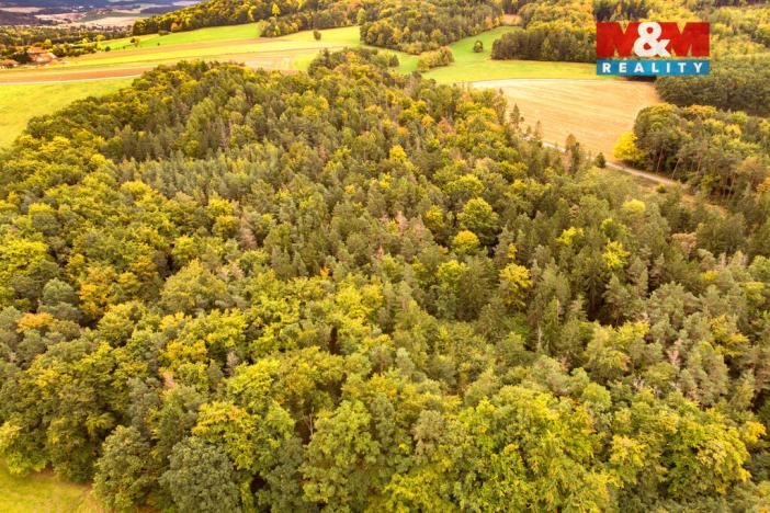 Prodej lesa, Ježovy - Trnčí, 39171 m2