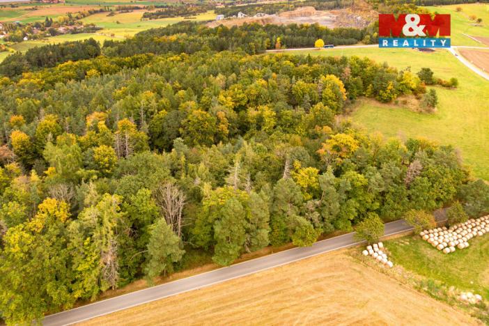 Prodej lesa, Ježovy - Trnčí, 39171 m2
