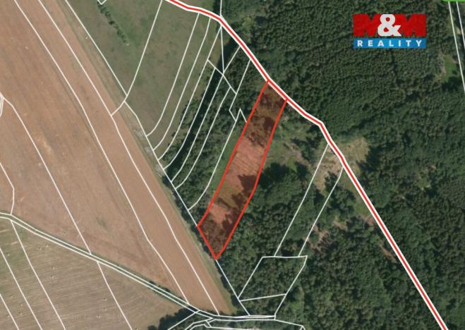 Prodej lesa, Ježovy - Trnčí, 39171 m2