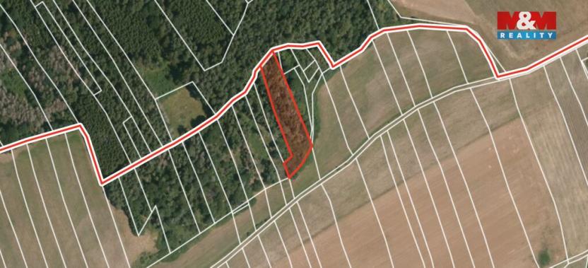 Prodej lesa, Ježovy - Trnčí, 39171 m2