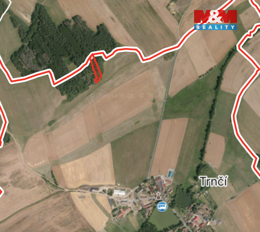 Prodej lesa, Ježovy - Trnčí, 39171 m2