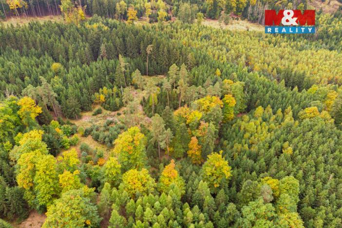 Prodej lesa, Černíkov, 12446 m2