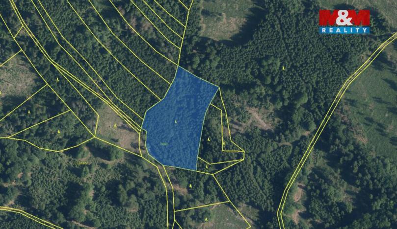 Prodej lesa, Černíkov, 12446 m2